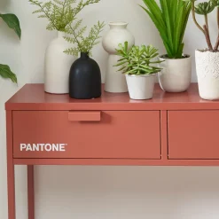 Pantone NINO Console 2 tiroirs en métal L100cm