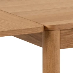 Drawer SAVACOU Lot de 2 rallonges en bois 50x100cm